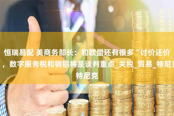 恒瑞易配 美商务部长：和欧盟还有很多“讨价还价”，数字服务税和钢铝将是谈判重点_关税_贸易_特尼克