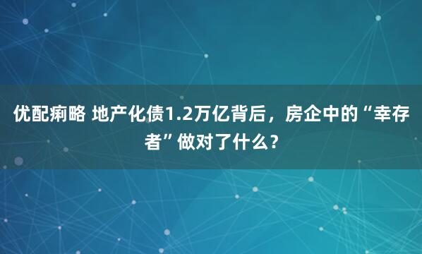 优配痢略 地产化债1.2万亿背后,房企中的“幸存者”做对了什么?
